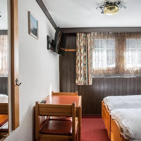 Hotel Burgener 2*